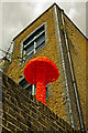 Bright orange toadstool, Hackney Wick