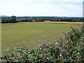 Fields at Blue lane