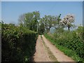 Farm road, Baucott