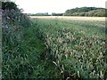 SE3957 : Wheat by White Rail Beck by Derek Harper