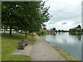 Walk along the Thames from Runnymede to Old Windsor (51)