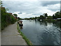 Walk along the Thames from Runnymede to Old Windsor (55)