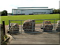 Boulders block field entrance, Nash Road, Newport