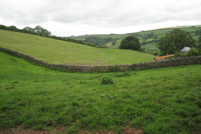 Stone boundary wall, Higher Yetson 