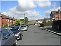 Silver Royd Drive - viewed from Silver Royd Street