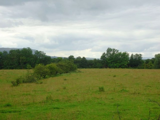 Wester Cornton, rough grazing