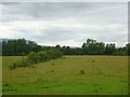 Wester Cornton, rough grazing