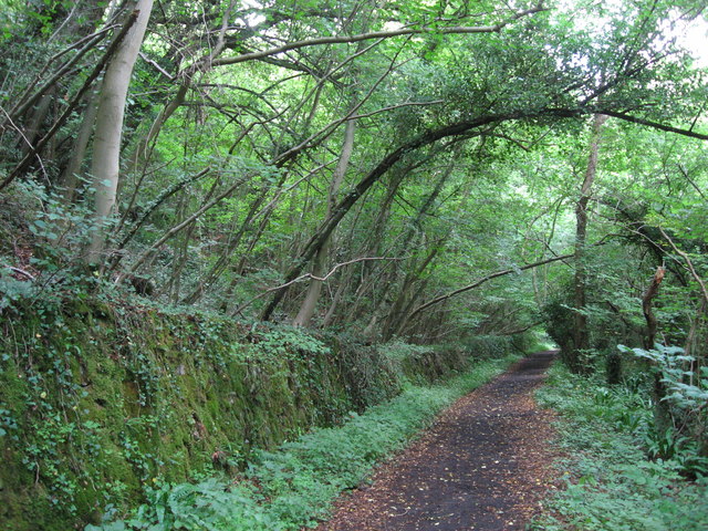 Path along course of Wye Valley Railway near Tintern