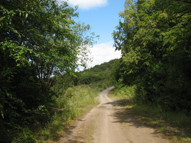 Path near Tintern Quarry