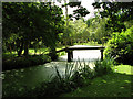 TG3613 : Bridge over water channel, Fairhaven Water Garden by Evelyn Simak