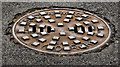 J4079 : Adams manhole cover, Holywood by Albert Bridge