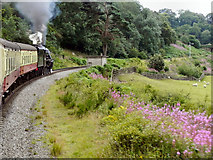 NZ8203 : North Yorkshire Moors Railway, Murk Esk Valley by David Dixon