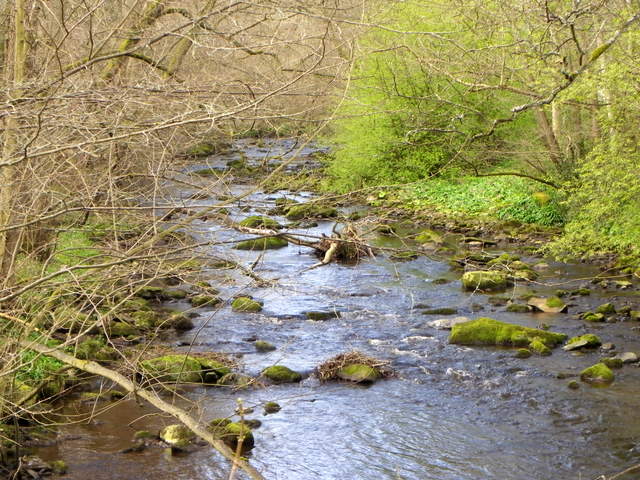 River Burn near Healey