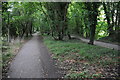 Thames Path near Cookham