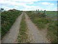 Farm track on Great Treffgarne Mountain