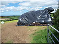 Silage or haylage storage in a field near Upper North Hill farm