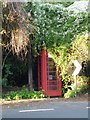 The disappearance of a Wraxall Phonebox