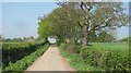 A minor road near Stanton Long