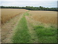 Footpath towards Trot Row