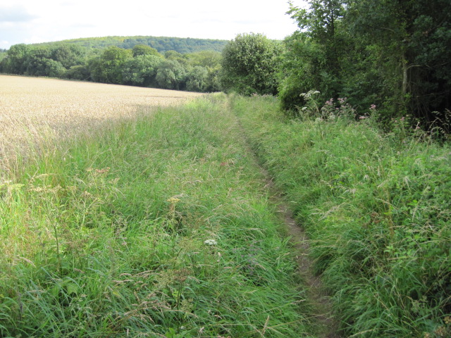 Footpath beside Houghton Forest