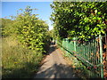 Footpath up the hill