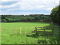 Farmland around East Dukesfield