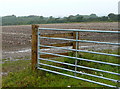 Farmland off Tredrea Lane