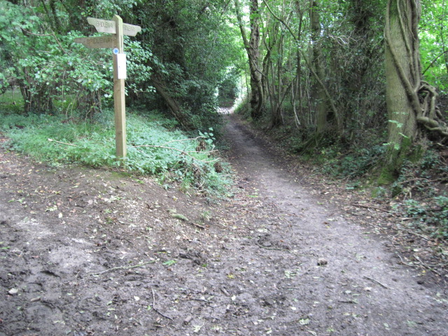 Footpath towards Marwell at junction with Water Lane