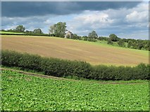 NY9461 : Farmland between Houtley and Birks by Mike Quinn