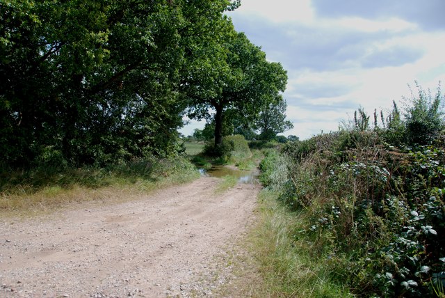 Farm Track off Newlands Lane, Colton