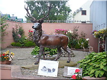 NH5458 : Dingwall Stag by Colin Smith