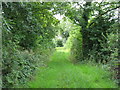 Footpath between Crickham and Stoughton