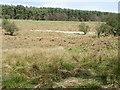 SE1581 : Rough grassland near Colsterdale by Maigheach-gheal
