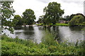 The Thames near Dorney