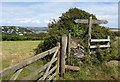 Footpath  junction above Tor Woods