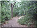 Green Chain Walk in Bostall Woods