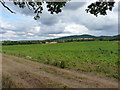 Farmland west of Wellington