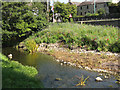 Bank of Bedale Beck