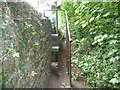 Stone step stile and handrail in Llangenny