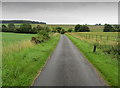 Narrow Lane in Lindley