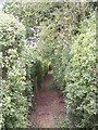 Footpath to Clopton Commercial Park