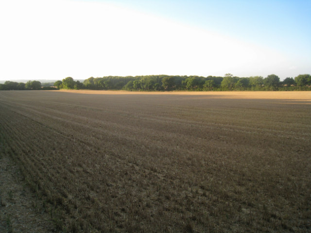 Harvested wheat field - Pardown