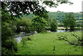 Pasture by the Afon Teifi south of Pont Gogoyan, Ceredigion