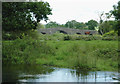 Pasture by the Afon Teifi south of Pont Gogoyan, Ceredigion