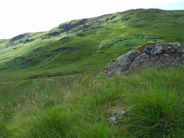 Looking across the lesser Strone to the slopes of Meall Mor near Loch Katrine
