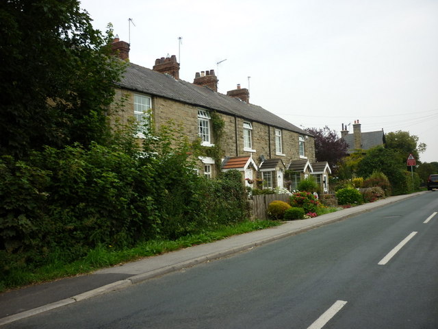 Houses on Havkil Lane, Scotton