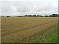 Farmland, Goole Fields