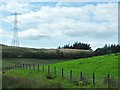 Pylons near Hazeldenhill