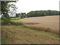 View towards Mere Plantation and Caistor Road