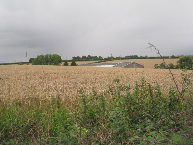 Barrow Vale Farm